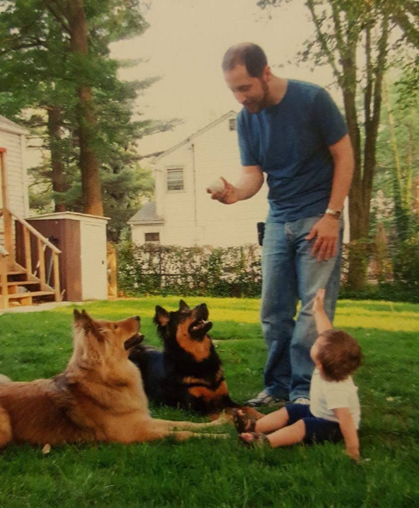 family dogs with a small child