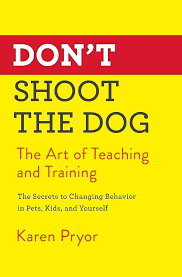 Don't Shoot the Dog cover